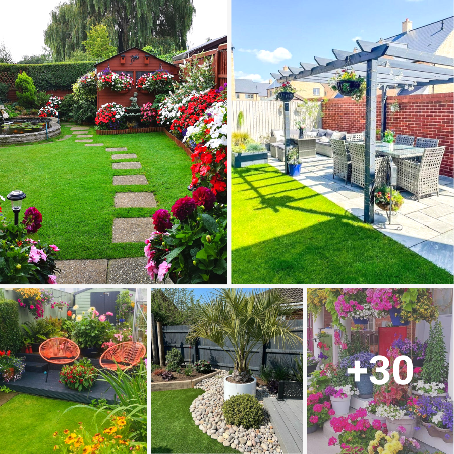 30 Brilliant Ideas to Make Your “Garden” Look Nice on a Budget BienTin