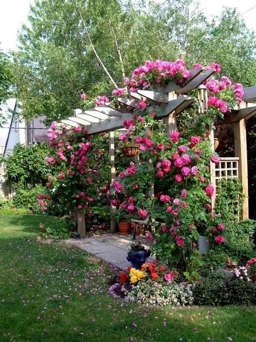 33 Awesome “Pergola” Ideas to Shade and Beautify Your Backyard - BienTin