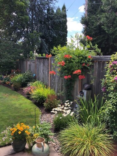 30 Landscaping Ideas Along Your Fence 4 pinterest 693132198930064005